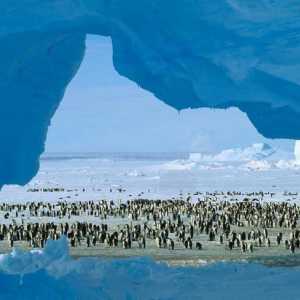Станцията "Мир" в Антарктика: координати, функции