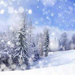 Статуси за снега: споделяне на радостта с другите