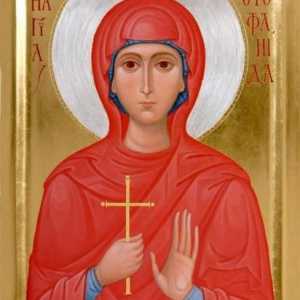 "Стефанида Дама" - икона на православните християни