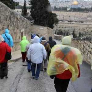 Струва си да отидете в Израел през февруари: снимки и ревюта на туристи