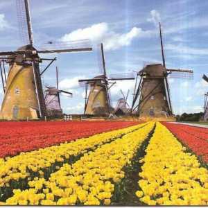 Държава Холандия: градове, най-големите градове