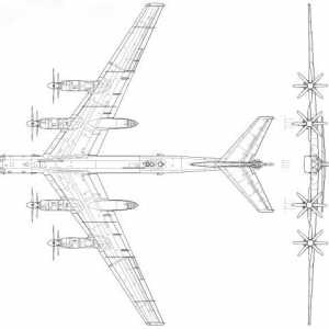Стратегически бомбардировач TU-95: характеристики и снимки