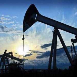 Стратегическите природни суровини на Руската федерация са петролът "Урал"