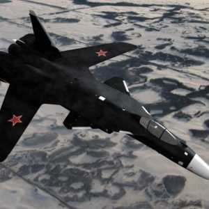Su-47 `Berkut`: снимка, характеристики. Защо са затворили проекта?