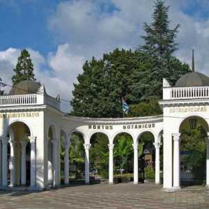 Ботаническата градина на Сухуми: зеленото сърце на столицата на Абхазия