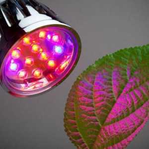 Светодиоди за растения, диапазон от LED лампи