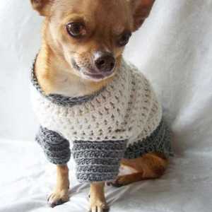 Пуловери за кучета със собствените си ръце