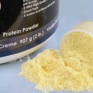 Суроватъчен протеин: концентрат, който дава сила