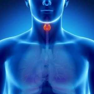 Т3 - хормон на щитовидната жлеза: какво е отговорно, нормата и отклоненията от нормата