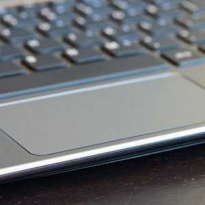 Touchpad: как да настроите устройство за замяна на лаптоп за физическа мишка