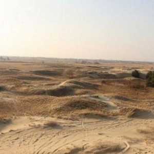 Тайнствената пустиня Алишовски пясъци близо до Херсон (Украйна)