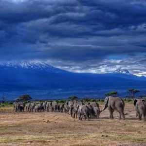 Танзания: национални паркове и резерви. Специално защитени природни територии