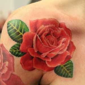 Rose Tattoo: Какво означава това?