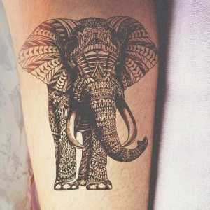 Татуировки на слонове: Значение