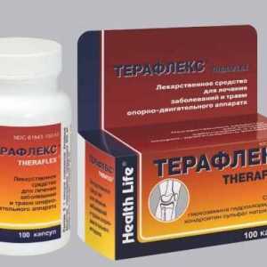 "Teraflex" за ставите. Наркотикът `Teraflex`: ревюта, цена