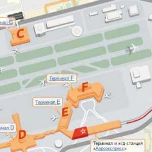 Терминали и схема на летище Шереметиево