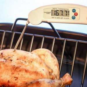 Електронен термометър със сонда за вода: описание