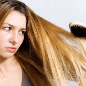 Термална защита на косата: рецензии. Най-добра термична защита за косата