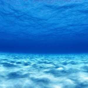 Тихия океан: релефът на дъното. Характеристики на релефа на дъното на Тихия океан