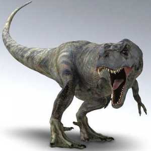 Тиранозавър срещу гигантосауру: най-опасните хищници
