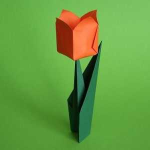 Оригами лалета: красиви и елегантни