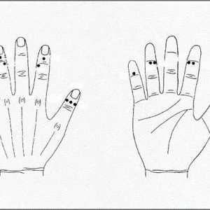Точки върху ръцете, отговорни за органите. Акупунктурни точки на ръцете (снимка)