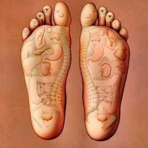 Точките на крака, които са отговорни за органите. Акупунктурните точки на краката