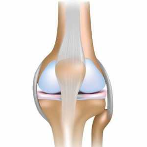 Наранявания на коляното. Мениск: повреда, лечение, адаптация