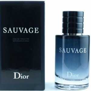 Тоалетна вода Вода Dior Sauvage: ревюта, пирамида, цена