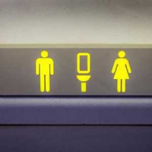 Тоалетни в самолети: характеристики на устройството, схема и правила за работа