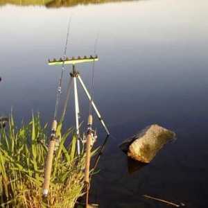 Успешен риболов: захранващо оборудване на бреза и правилно подбрана стръв