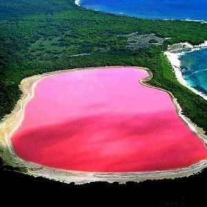 Страхотна Австралия: Хиллер - розово езеро със солени плажове