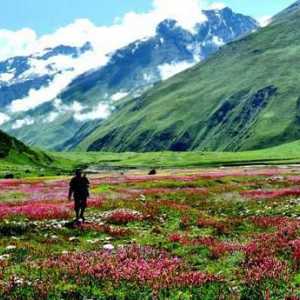 Изненадваща девствена природа Долината на цветята. Индийският национален парк дава положителни…