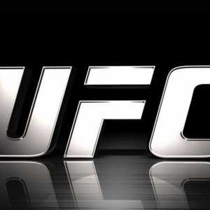 UFC - какво е това? Списък на Шампионските UFC