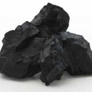 Въглищен камък: свойства. Въглища: произход, добив, цена