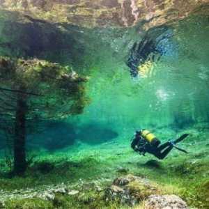 Уникално зелено езеро: Подводен свят в Австрия