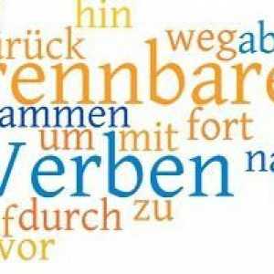Управление на глаголите на немски език: правила и примери