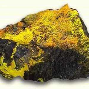 Уранова руда. Как те извличат уранова руда. Уранова руда в Русия
