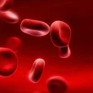Нивото на хемоглобина в кръвта: нормата и патологията