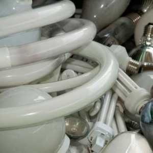 Изхвърляне на лампи, съдържащи живак: принципи на събиране и съхранение, отговорност