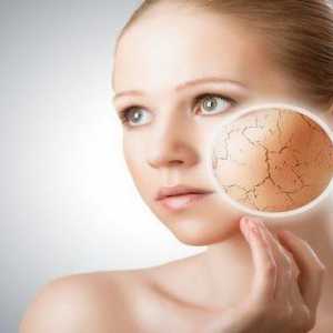 Овлажняващи масла за лице за суха кожа: преглед, характеристики на приложението, ефикасност и…