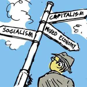 Какви са характеристиките на функционирането на различните икономически системи: социалният аспект
