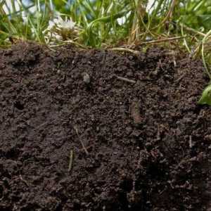 Какви са основните свойства на почвата?