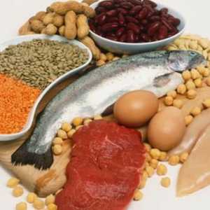 Какви храни съдържат протеини? Отговорът е очевиден