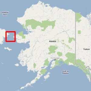 През коя година продадоха Аляска в Америка? Аляска: история