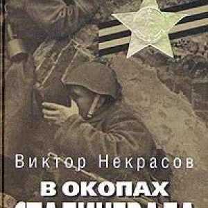 "В окопите на Сталинград": обобщение на главите, анализ