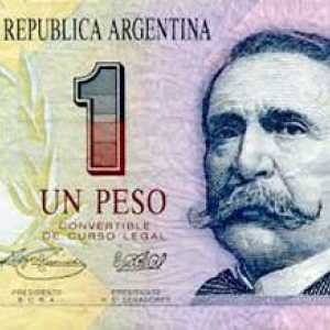 Валутата на Аржентина. Аржентинско песо: история на творението