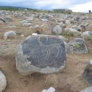 Големи археологически открития: описание, история и интересни факти