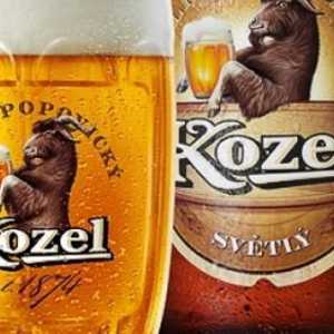 "Velkopopovitskiy Kozel": история, продуцент и ревюта на чешката бира