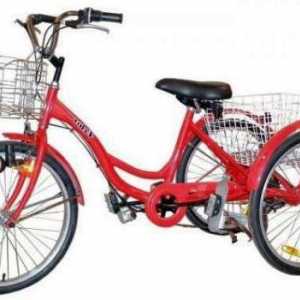 Велосипед за деца с церебрална парализа: признаци, видове, характеристики